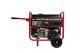 All Power 10,000-w Portable Dual Fuel Gas Powered Generator With Electric Start