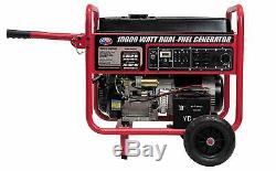 All Power 10,000-W Portable Hybrid Dual Fuel Gas Generator with Electric Start