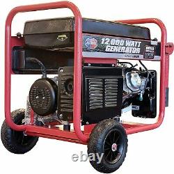 All Power 12,000-W Portable Gas Powered Generator with Electric Start Home RV