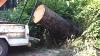 Lewis Winch Lifts Massive Log Into Truck Most Powerful Portable Winch Ever