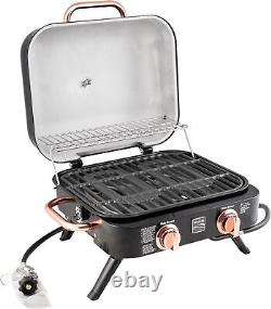 Portable Gas Grill 2-Burner Tabletop BBQ Warming Rack Foldable Stainless Steel