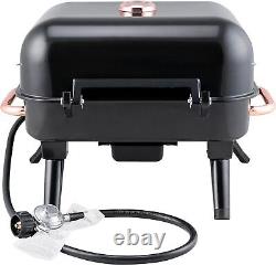 Portable Gas Grill 2-Burner Tabletop BBQ Warming Rack Foldable Stainless Steel