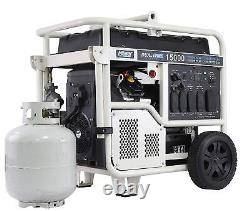 Générateur portable biphuel propane/essence de 15 000 watts PG15KVTWB