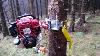 Pcw3000 Portable Forestry Winch Winching Hung Up Arbres À L'aide D'une Poulie Directe De Gréement